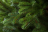 Искусственная елка Ева 215 см Резина+ПВХ Царь Елка