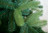 Искусственная ель Модерно Премиум 1.2 м зелёная
