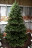 Искусственная елка Голландская Премиум 185 см Резина 100%