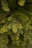 Искусственная ель 260 см Уэльская зеленая Резина + ПВХ