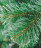 Искусственная елка Иней 190 см зелёная
