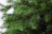 Искусственная ель Астерия Премиум 3D 60 см зеленая Царь Елка