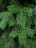 Искусственная ель 1.8 м Victoria зеленая Резина + ПВХ