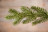 Искусственная ель Царская 185 см зеленая 100% Резина