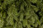Искусственная ель Царская 185 см зеленая 100% Резина