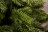 Искусственная ель Царская 215 см зеленая 100% Резина