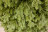 Искусственная ель Царская 215 см зеленая 100% Резина