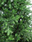 Искусственная ель 1.9 м Изумрудная зеленая Резина 100%