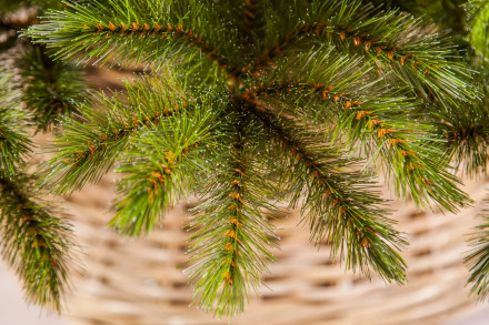Искусственная елка Лесная Красавица 155 см зеленая