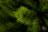 Искусственная ель Триумф Де Люкс 215 см зеленая