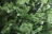 Искусственная ель Аделина 210 см зеленая 100% Резина  АЛН-210