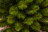 Искусственная елка Русская 155 см зеленая Triumph Tree