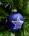Набор шаров СТЕКЛО 4 шт звезды с ручной росписью