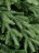 Искусственная елка Франклин 213 см зелёная Ели Пенери