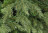 Искусственная елка Реал 215 см зелёная Резина + ПВХ