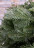 Искусственная ель 215 см Благородная Black Box зеленая Резина 100%