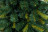 Искусственная елка Элегия 300 см зелёная Ели Пенери