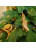 Искусственная ель Афродита 120 см зеленая 100% Резина