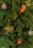 Искусственная ель Афродита 150 см зеленая 100% Резина
