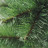 Искусственная елка Классик 220 см зелёная