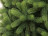 Искусственная елка Русская Красавица Премиум 150 см 100% Резина Царь Елка