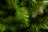 Искусственная ель Норвежская 120 см зеленая ПВХ пленка