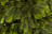 Искусственная ель Раскидистая 365 см зеленая Премиум