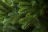Искусственная елка Ева 70 см  Резина + ПВХ Царь Елка