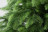 Искусственная ель 3.5 м Сказочная зеленая Резина + ПВХ