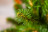 Искусственная ель Императрица 155 см зеленая с шишками