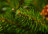 Искусственная ель Императрица 155 см зеленая с шишками