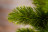 Искусственная ель Триумф Норд 155 см зеленая стройная