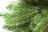 Искусственная ель Финская Премиум 180 см зеленая 100% Резина
