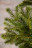 Искусственная елка Можжевельник 215 см зеленая