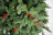 Искусственная ель Грацио Премиум 2.1 м зелёная с ягодами