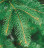 Искусственная ель Дриада 220 см темно-зеленая 100% Резина