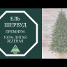 Искусственная елка Шервуд Премиум 230 см зеленая 100% литая хвоя