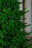 Искусственная ель 2.1 м Элиза зеленая Резина + ПВХ
